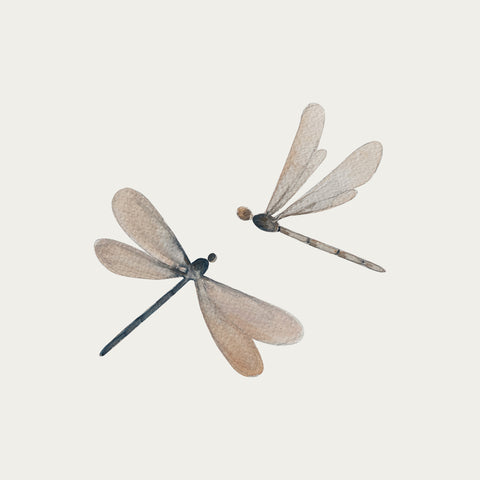 Dragonfly wall decal