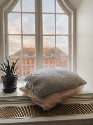 Adventures with Gooselings: Copenhagen