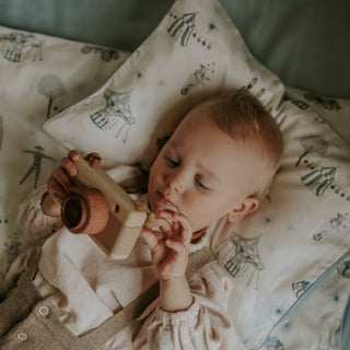 Toddler Pillows