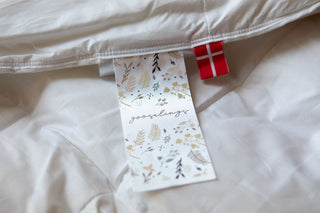 Tag of gooselings with the Danish Flag