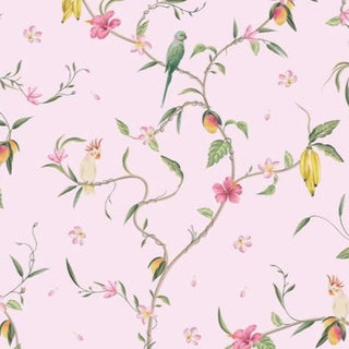 Dreaming of Paradise Print