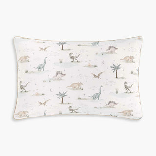 Dino Dreams Toddler Pillows in Sage