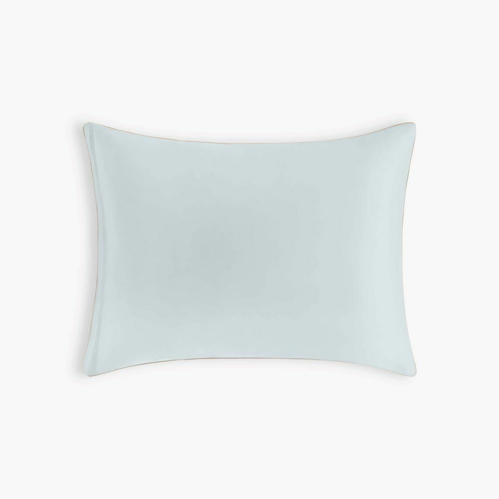 Personalize Me: Dino Dreams Standard Pillowcase in Sage