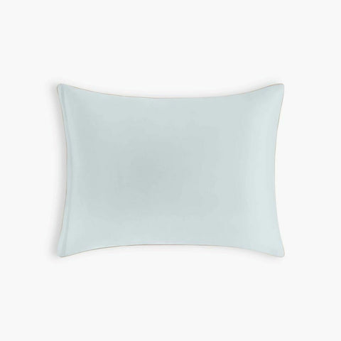 Dino Dreams Standard Pillowcase in Sage
