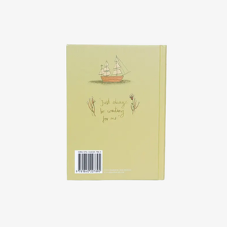 Back cover of the copy of 'Peter Pan' with a ship on a green background