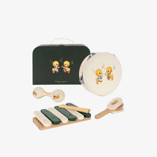 Set of children's musical instruments with a black tin case on a white background