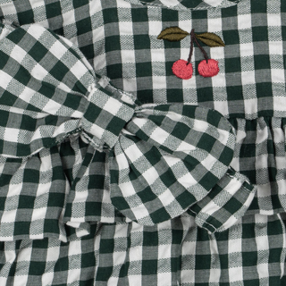 Green and white checkered dress with cherry embroidery on a matching green and white checkered background.