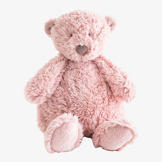 Pink teddy bear on a white background