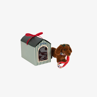 Plush dog toy with a striped box on a white background
