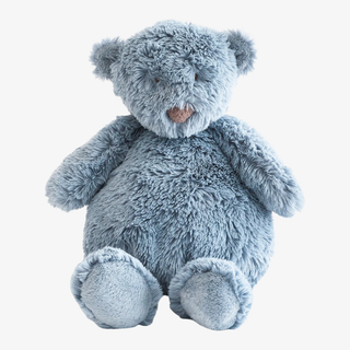 Blue teddy bear on a white background