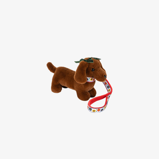 Plush dog toy with a colorful leash on a white background