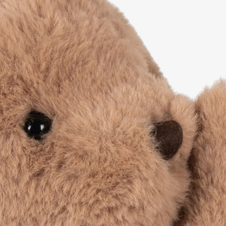 Close-up of a brown teddy bear's face on a white background