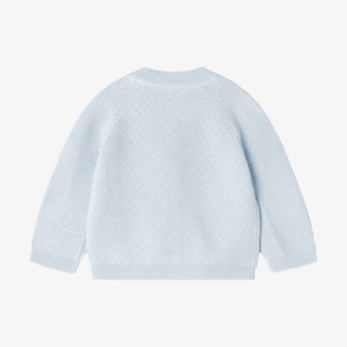 A light blue knit sweater shown from the back, featuring a crew neck, raglan sleeves, and ribbed cuffs and hem, photographed on a clean white background.