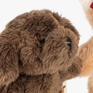 Close up of a brown puppy toy. 