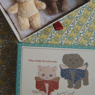 A close-up of a gift box containing small plush toys, with a printed card or box front showing an illustration of a kitten and a puppy wearing bows and the text 'Tiny teddy best friends.'.