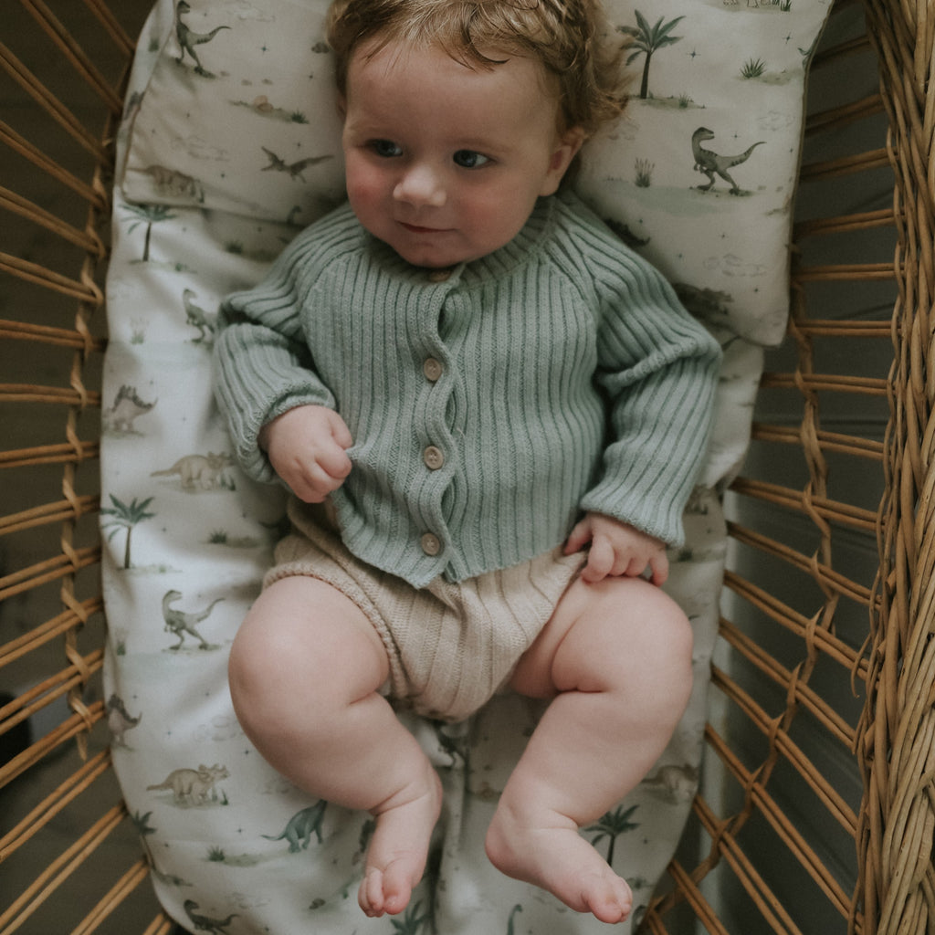 Dino Dreams Baby Duvet in Sage in bassinet with baby