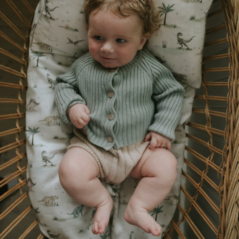 Dino Dreams Baby Duvet in Sage in bassinet with baby