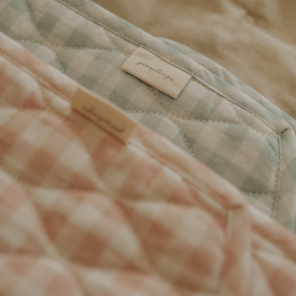Detail shot of Blue and Pink Gingham