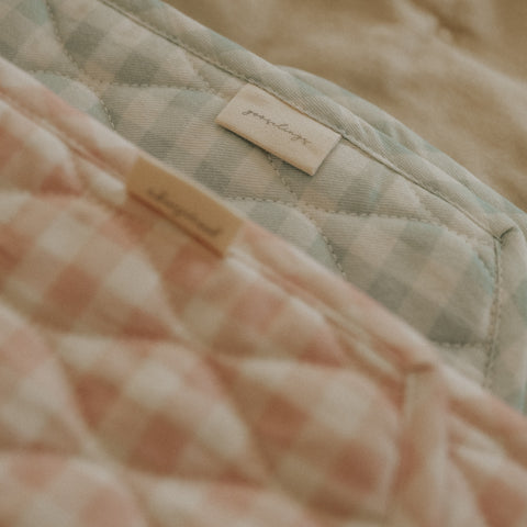 Detail shot of Blue and Pink Gingham