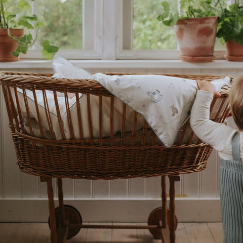 Wicker crib with a baby blanket inside, placed in a room with windows and plants.