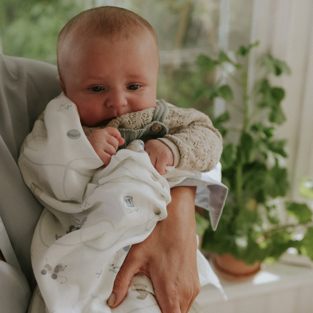 Baby wrapped in a blanket sitting on a person's lap with plants in the background