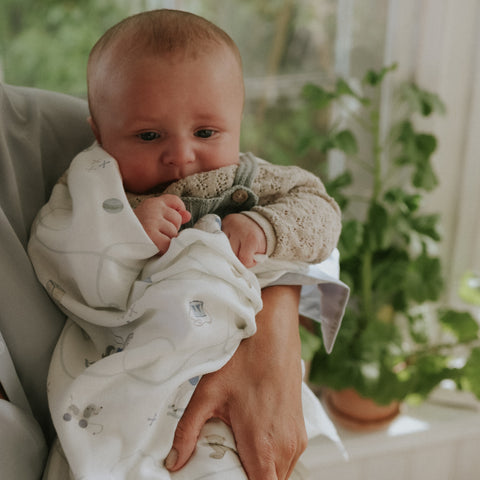 Baby wrapped in a blanket sitting on a person's lap with plants in the background