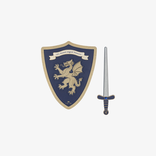 Shield with a dragon emblem and a sword on a white background
