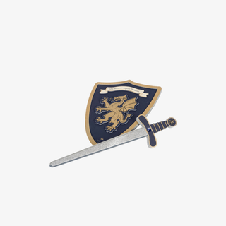 Sword and shield with a dragon emblem on a white background