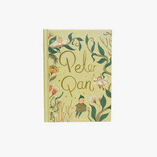 Cover of the copy of 'Peter Pan' with floral designs and fairy imagery on a white background