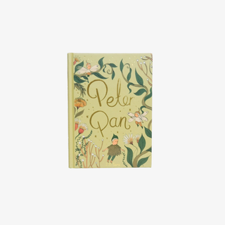 Cover of the copy of 'Peter Pan' with floral designs and fairy imagery on a white background