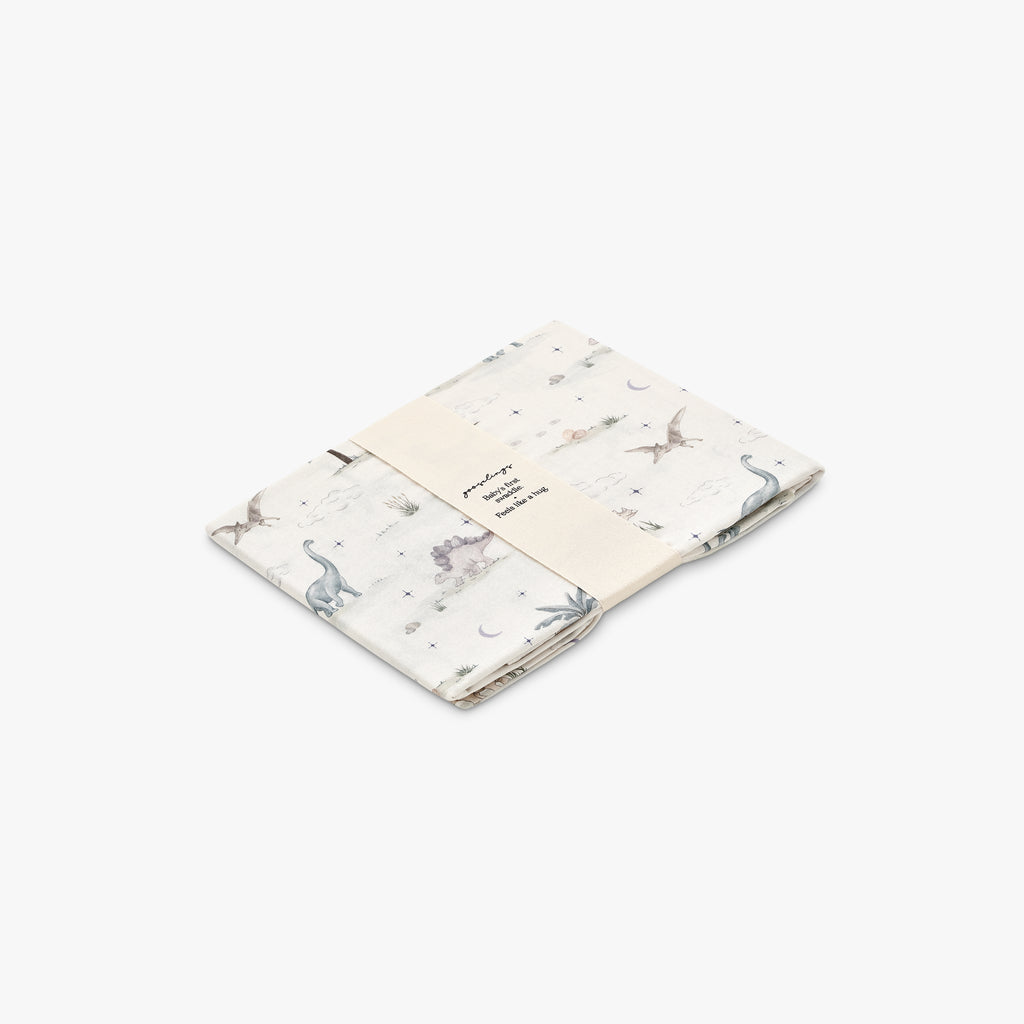 Dino Dreams Swaddle in Sage