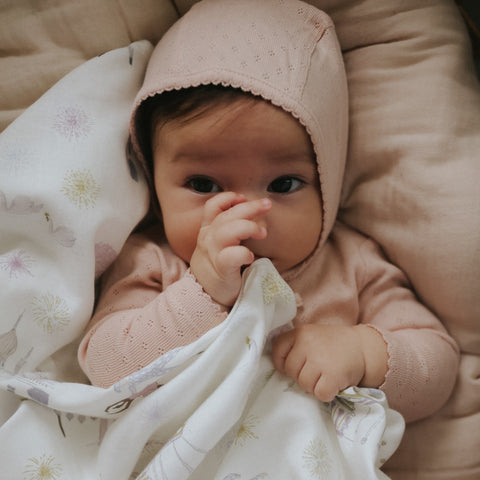 Adventures in Wonderland Swaddle in Rose wrapped around baby 
