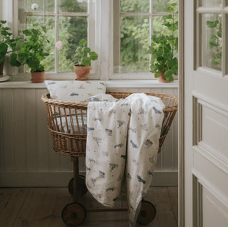 Transport Treasures Baby Duvet in Blue  in bassinet