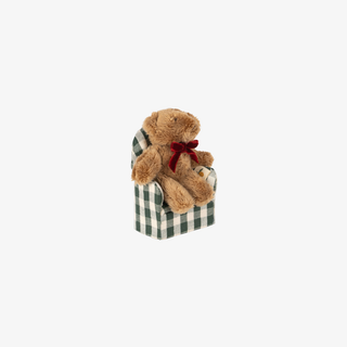 Small teddy bear with a checkered box on a white background