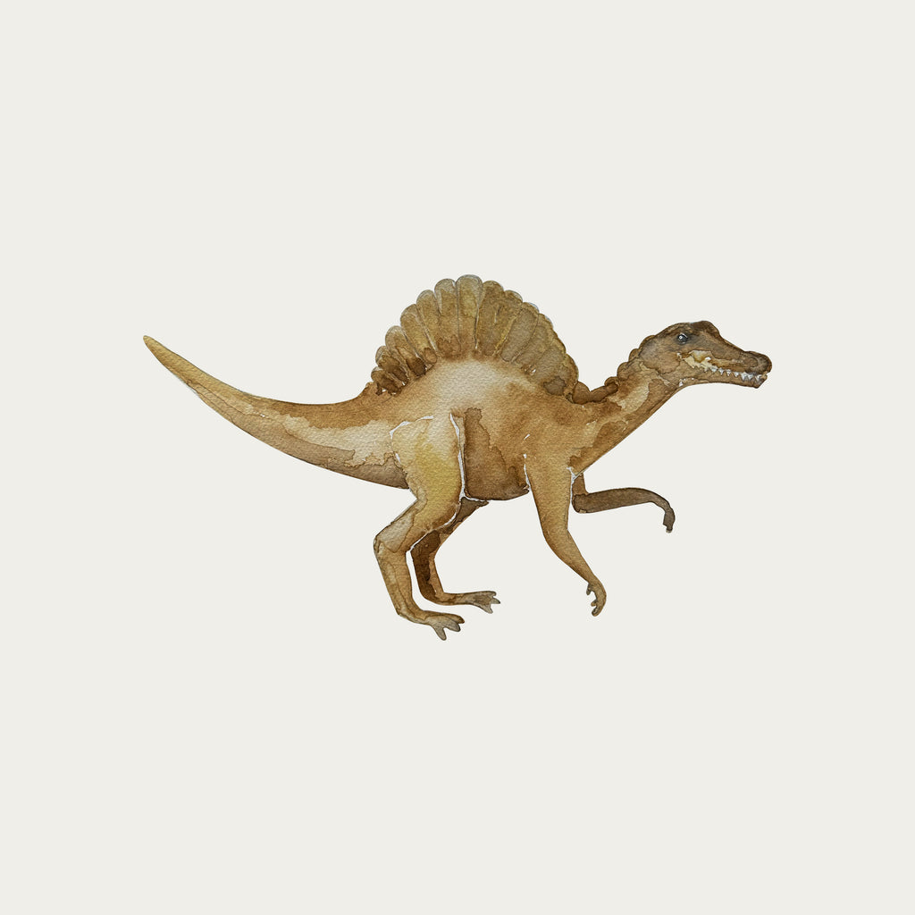 Dinosaur Wall Decal