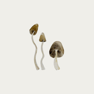 Mushroom Wall Decal