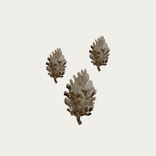 Acorn Wall decal