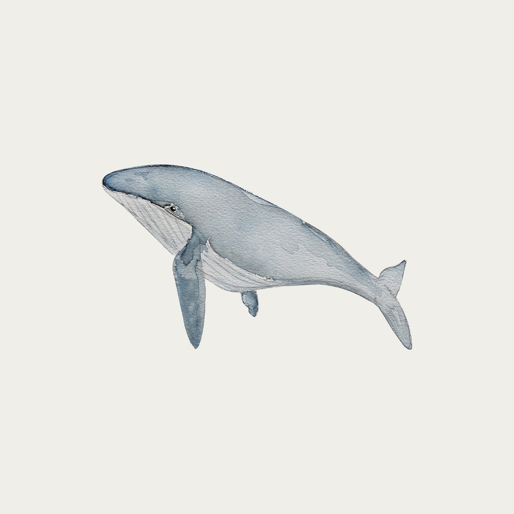 whale wall decal 