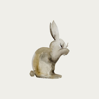 Shy bunny wall decal